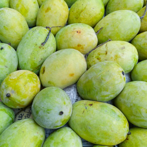 07-07-2022, Kolkata: Display of ripe yellow coloured  Indian mangoes (Langra variety, a popular mango cultivar available in northern India and Bihar during summer) at a roadside fruit stall in Kolkata, during summer.
Langra is also known as Banarasi Langra. It is popular in international markets.